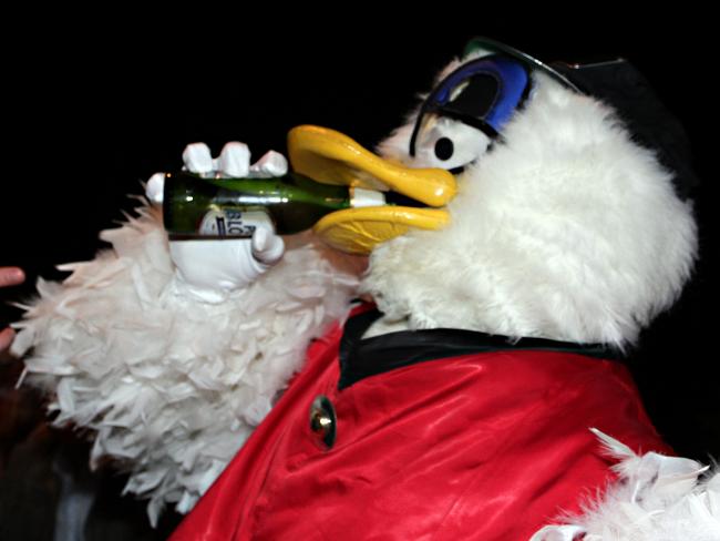 Plucka Duck Costume